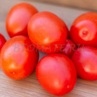 ПАСТА БЕРНАРДИНИ (Bernardini Paste, США)