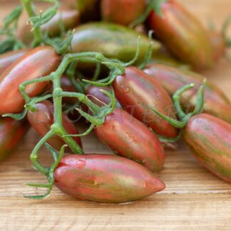 ПАВЛИНЬЕ ПЕРО