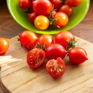 ПЕНДУЛИНА КРАСНАЯ  Pendulina red