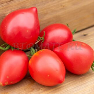 ПОЛЕССКИЙ ГИГАНТ ТАРАСЕНКО