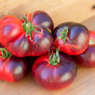 РОЗОВЫЙ СИБИРСКИЙ ТИГР