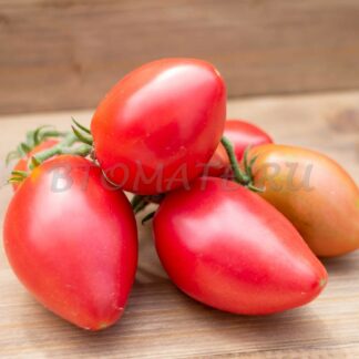 сахарная гирлянда