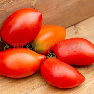 САНТА МАРИЯ (SANTA MARIA), ИТАЛИЯ