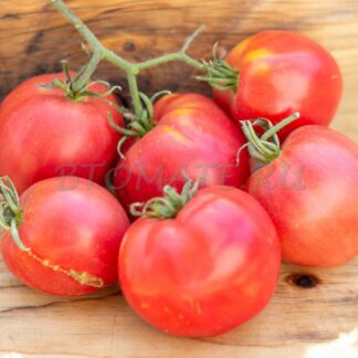 СЕРБСКОЕ СЕРДЦЕ