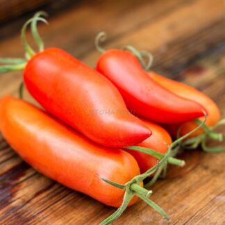 СЕРДЦЕ БОРОВА (HOG HEART) США