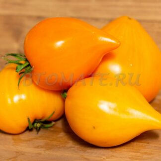 СЕРДЦЕ ЛЮБЫ