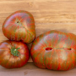 ШОКОЛАДНАЯ МОЛНИЯ (Dwarf Chocolate Lightning)