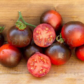 СИНИЙ АНГЕЛ (BLUE ANGEL ), США