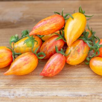 СЛАДКИЙ КРЕМ (SWEET CREAM) США