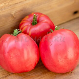 СЛАНКАРДС (Slankard's, США)