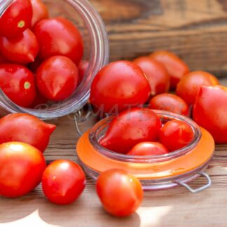 СМЕЛЯНСКИЙ РУДАСА