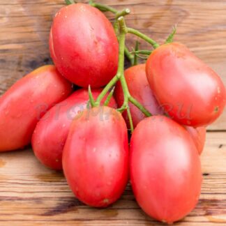 СТАКАНЫ РОЗОВЫЕ МИНУСИНСКИЕ