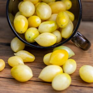 СУМАСШЕДШИЕ ЧЕРРИ БАРРИ (BARRY'S CRAZY CHERRY), США