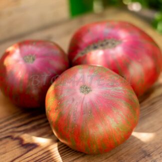 ТАЙ ДАЙ ФРЕДА (DWARF FRED'S TIE DYE, АВСТРАЛИЯ, США)