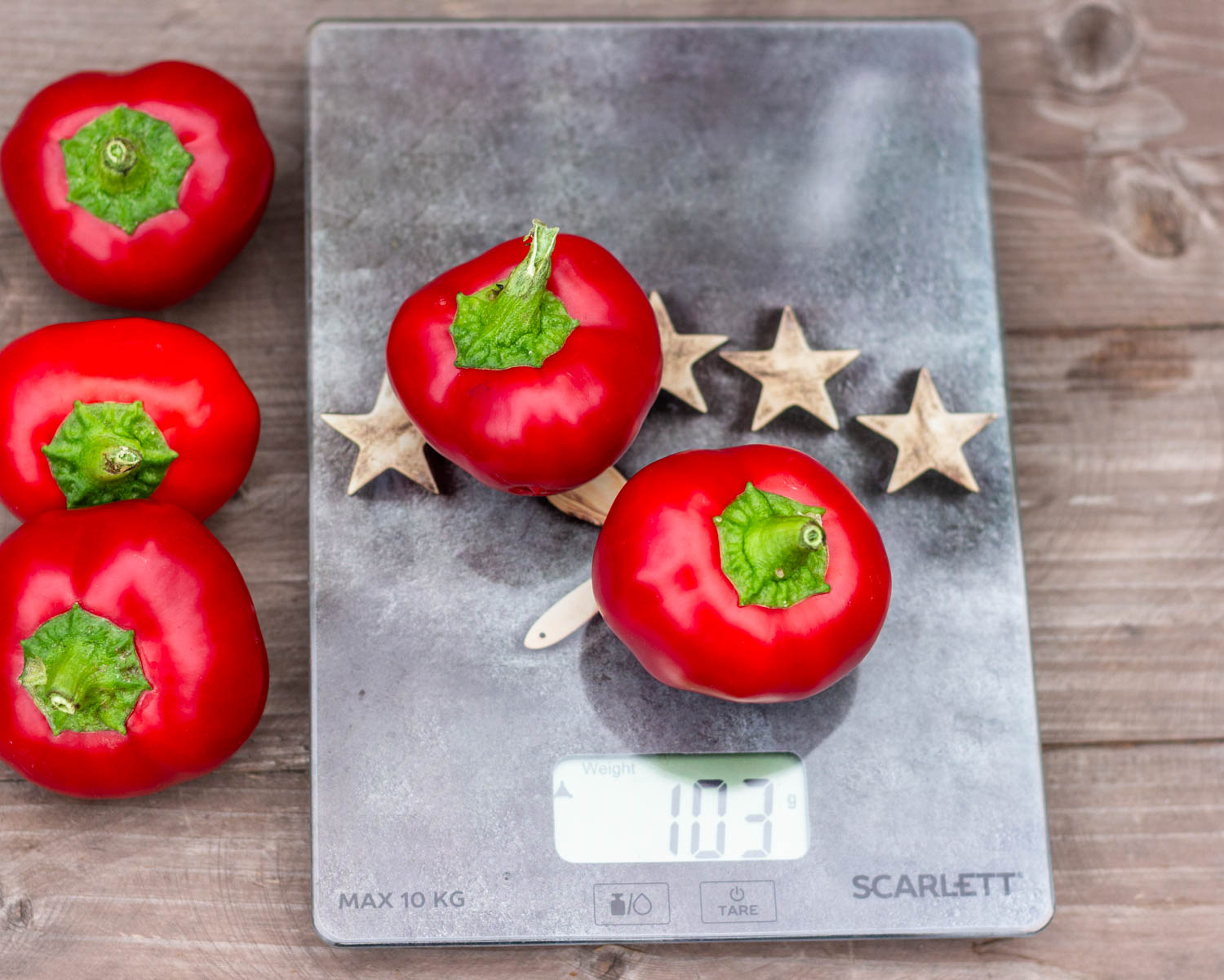 ТЕННЕССИ СЫР — изображение 5