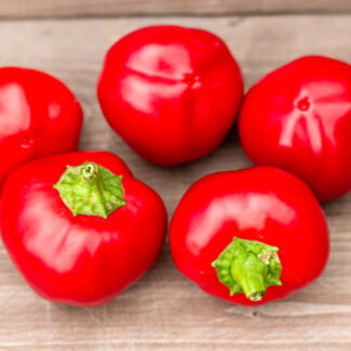 ТЕННЕССИ СЫР