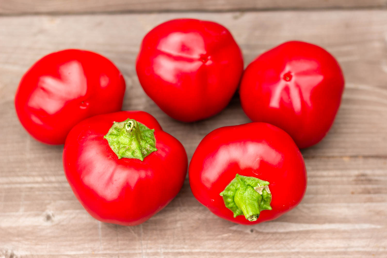 ТЕННЕССИ СЫР