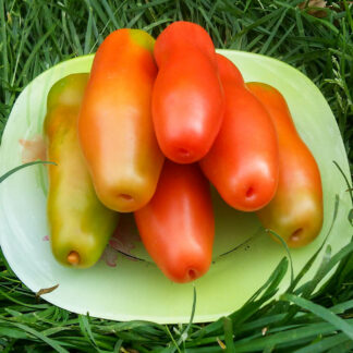 УЛЫБАЮЩИЙСЯ ЧЕРВЯЧОК (SMILEY WORMS, США)