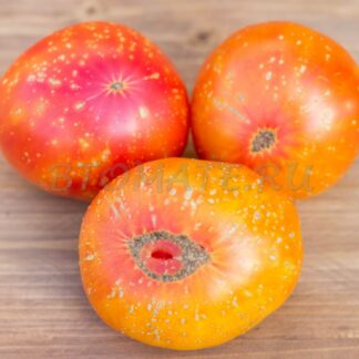 КОЛЕСО ТЕЛЕГИ (WAGON WHEEL) США