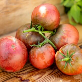 ЧЕРНЫЙ ФИОЛЕТОВЫЙ (VIOLET NOIR), БЕЛЬГИЯ