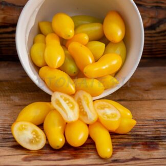 РИМСКАЯ ВАЗА БОРГЕЗЕ (BORGHESE VASE ROMAN) США