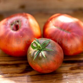 ВОРЛОН (VORLON) США