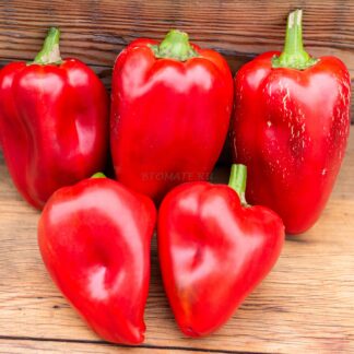 ЯНКЕ БЕЛЛ (Yankee Bell, США)