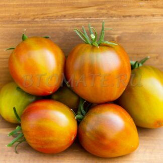 ЗАРЖАВЕВШЕЕ СЕРДЦЕ ЭВЕРЕТТА (EVERETT’S RUSTY OXHEART, США)