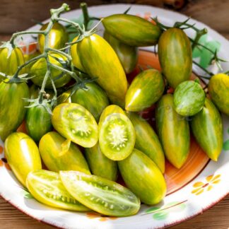 ЗЕЛЕНЫЙ ТИГР (GREEN TIGER, США)