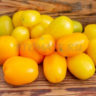 ЖЕЛТАЯ СЛИВКА БЕНДРИКА