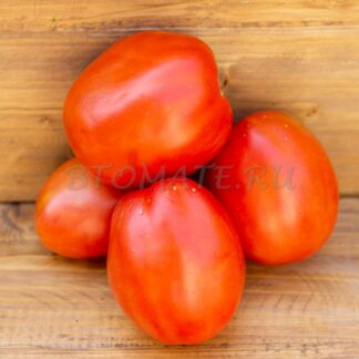 ЖИРНЫЙ БУЛЬОН (GRASE DE BULION), РУМЫНИЯ