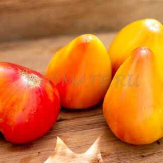 ЗОЛОТЫЕ ГОРЫ МЕДЕО (Казахстан)