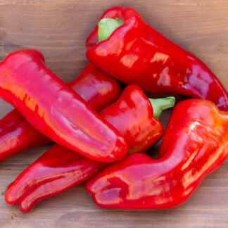 АКОНКАГУА Aconcagua