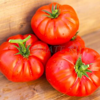 АМЕРИКАНЕЦ Amerikanac, Хорватия