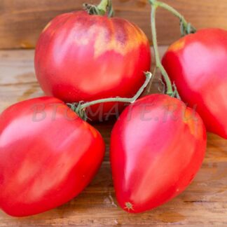 АМЕТИСТОВОЕ СЕРДЦЕ