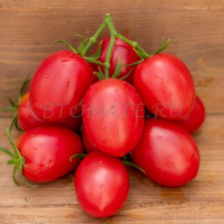 АРГЕНТИНСКАЯ СЛИВКА