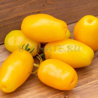 БАНАНОВЫЕ ПАЛЬЦЫ Dwarf Banana Toes