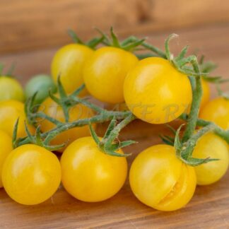 БЕЛЫЙ ЧЕРРИ