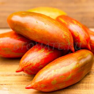 БОКСЕР ВОССТАНИЯ Boxer Rebellion