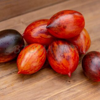 БОЙ С ТЕНЬЮ Dwarf Shadow Boxing