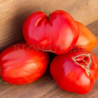 БОЛГАРСКОЕ СЕРДЦЕ КРУПНОЕ