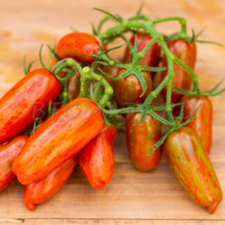 ЧЁРНЫЙ КЭСАДИ  Black Casady