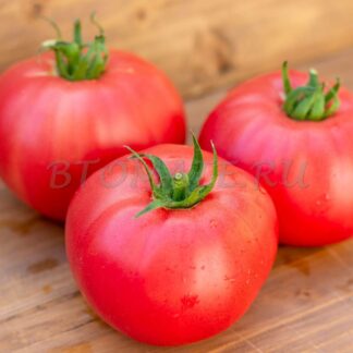 ДА ЧИЛО Da Chilo