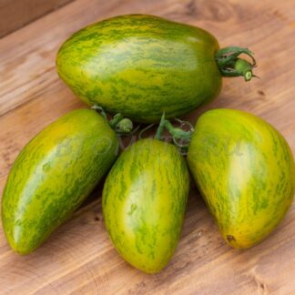 ДЕРЗКАЯ МЭРИ Dwarf Saucy Mary