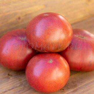 ДИКИЙ КАРТОФЕЛЬНЫЙ ЛИСТ Dwarf Wild Spudleaf