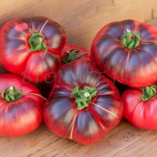 ДОРОГА СКОТДЕЙЛ Scotsdale Road