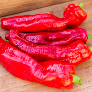 ФИГИТЕЛЛИ СИЦИЛИЯ Figitelli Sicilia