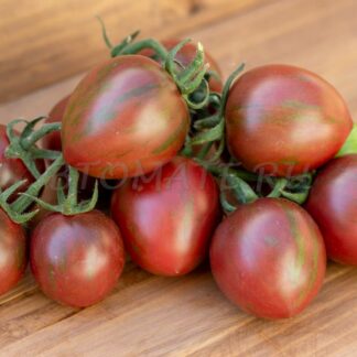 ФИОЛЕТОВАЯ ФЕЯ (PURPLE FAIRY) КИТАЙ