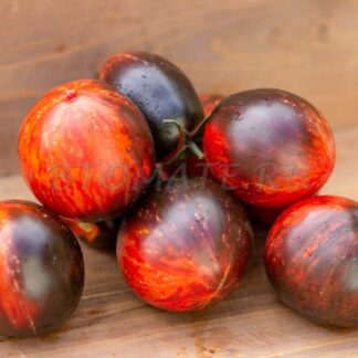 ГАРГАМЕЛЬ Gargamel