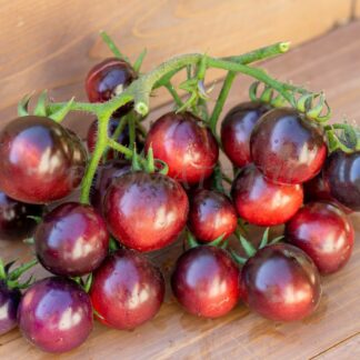 ГЛЯНЦЕВЫЙ РОЗОВО-СИНИЙ Glossy rose blue